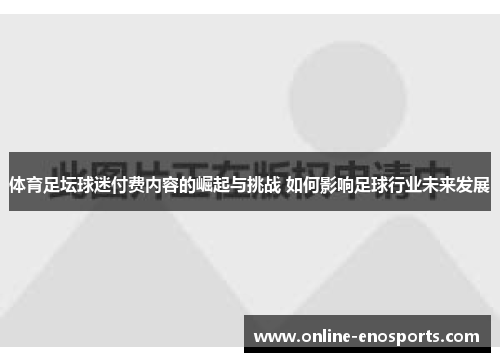 体育足坛球迷付费内容的崛起与挑战 如何影响足球行业未来发展