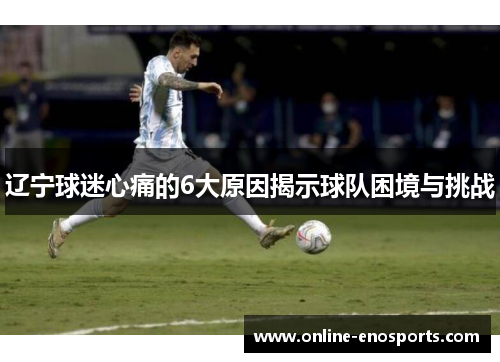 辽宁球迷心痛的6大原因揭示球队困境与挑战