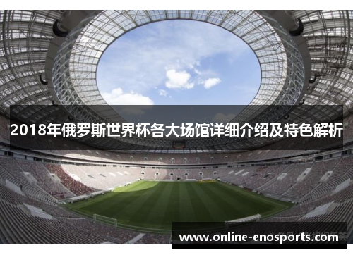 2018年俄罗斯世界杯各大场馆详细介绍及特色解析