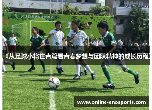 《从足球小将世青篇看青春梦想与团队精神的成长历程》