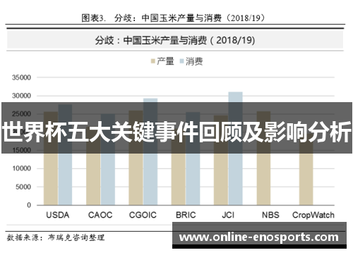世界杯五大关键事件回顾及影响分析