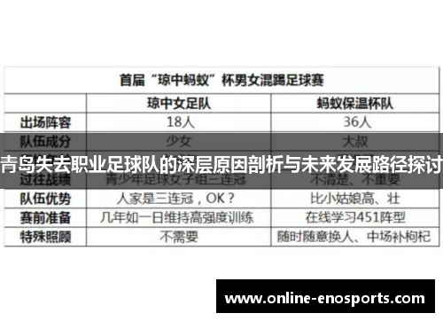 青岛失去职业足球队的深层原因剖析与未来发展路径探讨